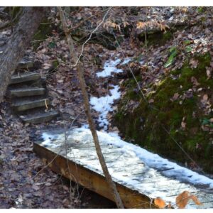 The Path Less Traveled - Anthology (PDF)